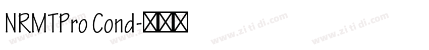NRMTPro Cond字体转换